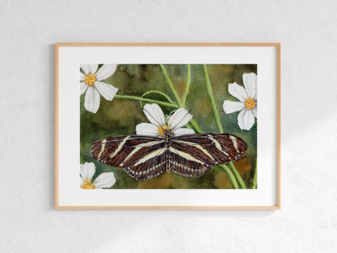 Zebra Longwing Butterfly Print
