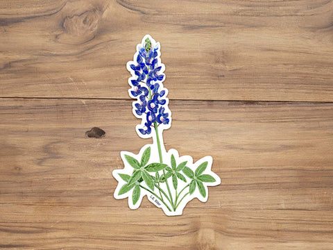 Bluebonnet Sticker