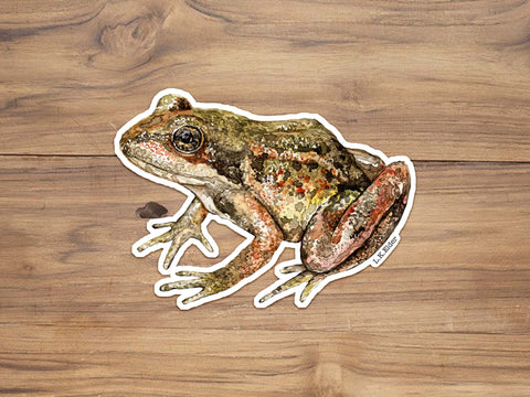 California Red Legged Frog Sticker