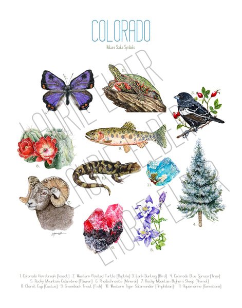 Colorado State Symbols Poster Print