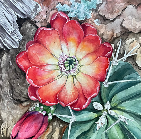 Watercolor Claret Cup