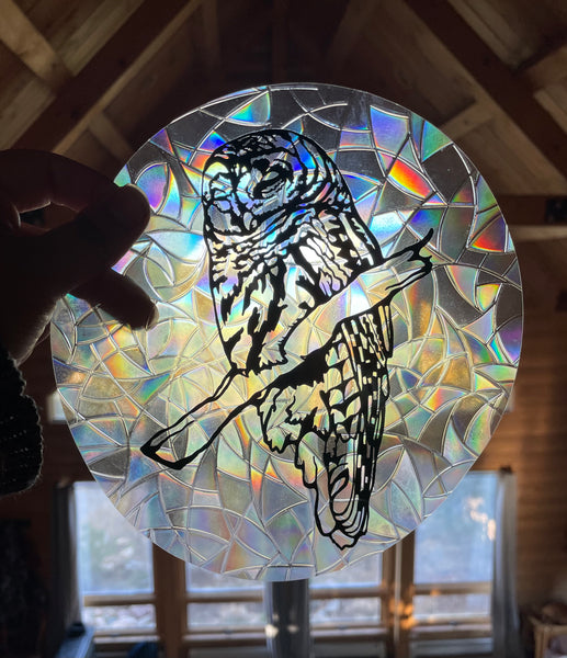 Barred Owl Suncatcher Decal