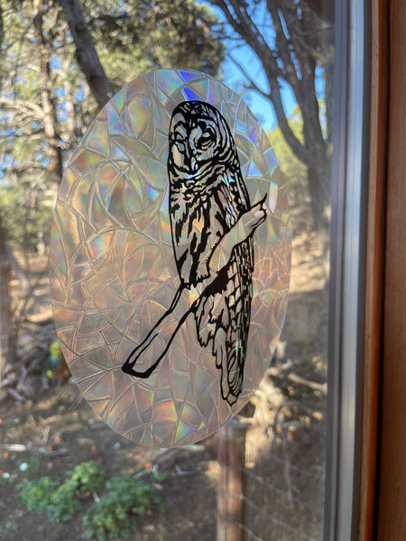 Barred Owl Suncatcher Decal