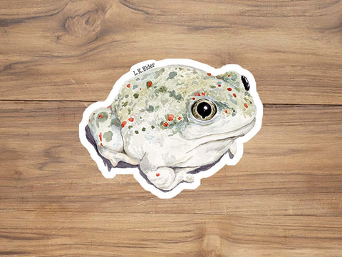 Spadefoot Toad Sticker