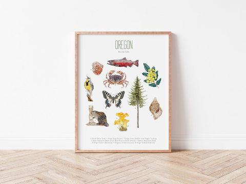 Oregon State Symbols Poster Print