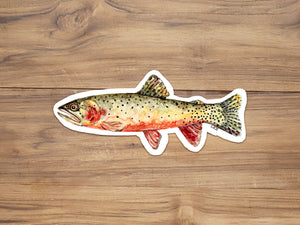 Rio Grande Cutthroat Trout