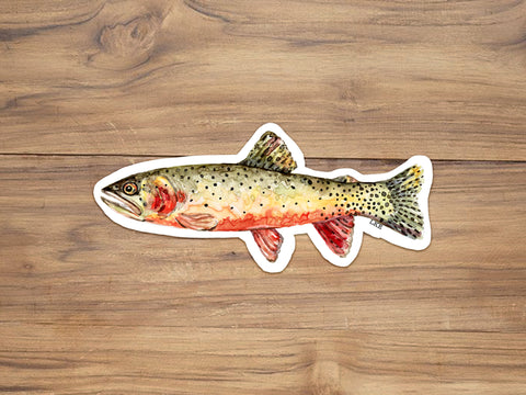Rio Grande Cutthroat Trout