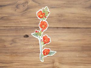 Scarlet Globemallow Sticker
