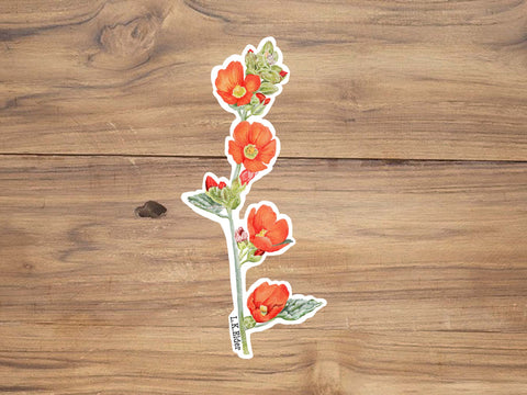 Scarlet Globemallow Sticker