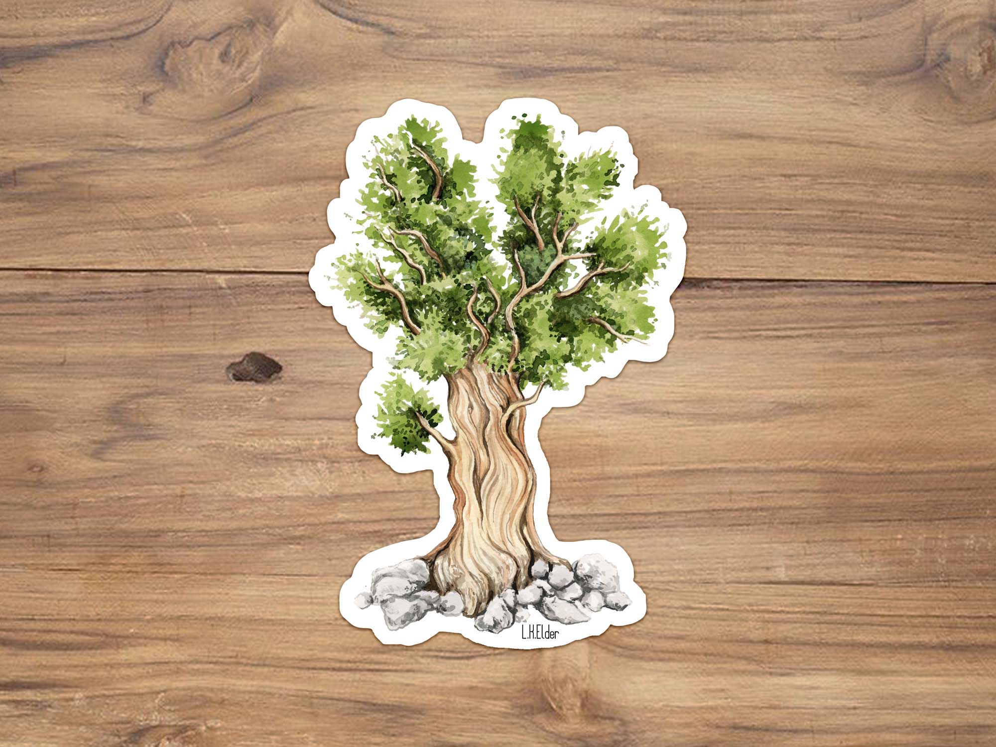 Bristlecone Pine Sticker