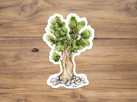 Bristlecone Pine Sticker