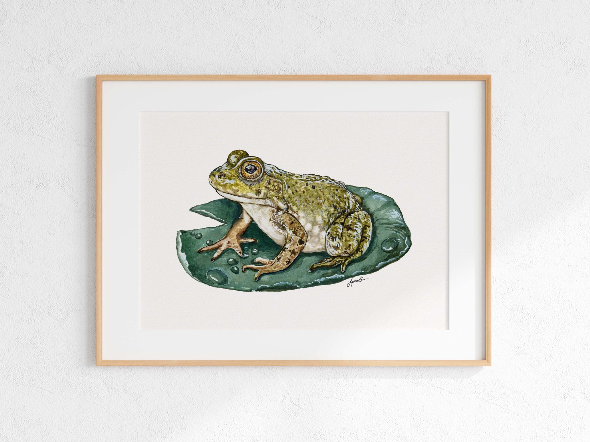 Bullfrog Print