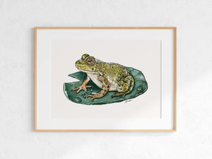 Bullfrog Print
