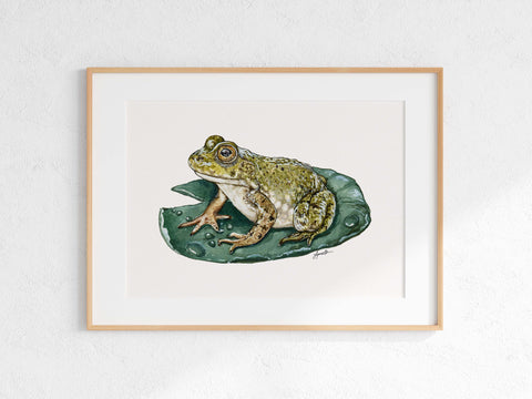Bullfrog Print