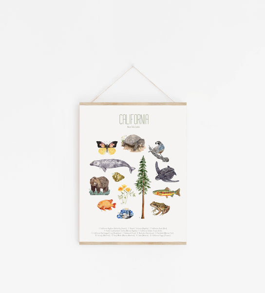California State Symbol Print