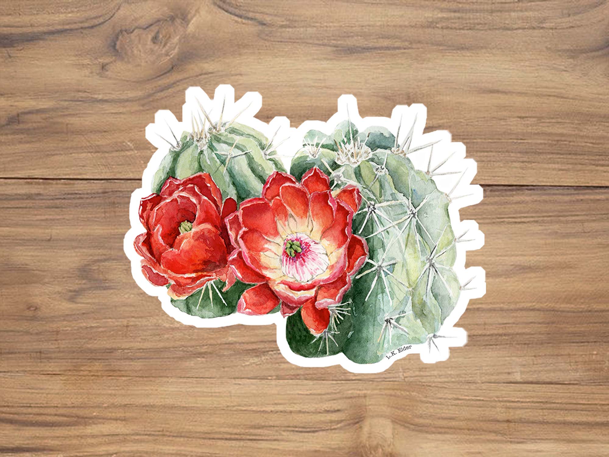 Claret Cup Blooms Sticker