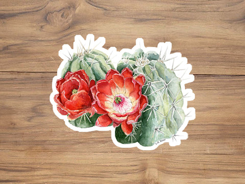 Claret Cup Blooms Sticker
