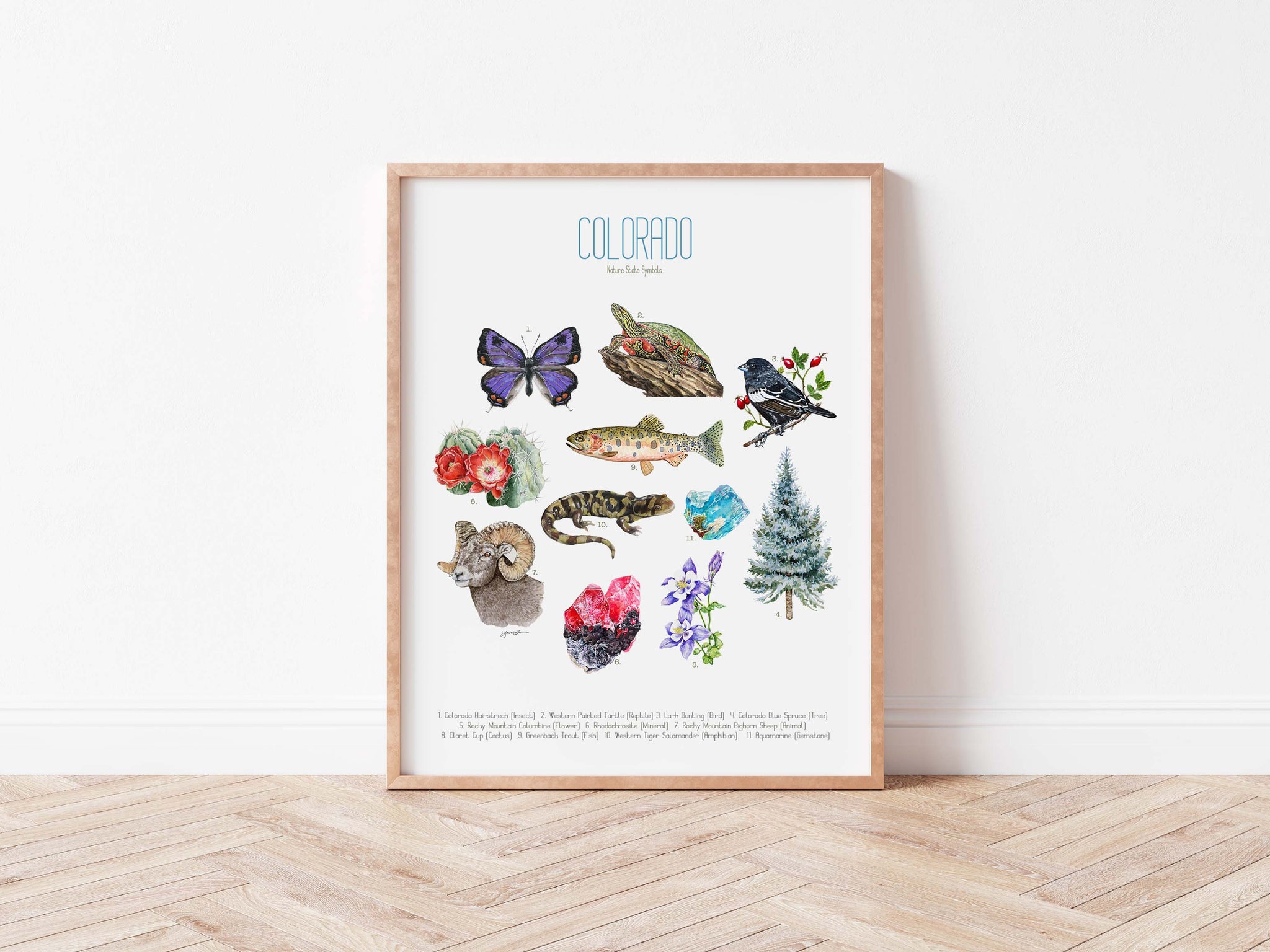 Colorado State Symbols Poster Print