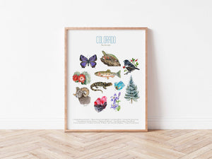 Colorado State Symbols Poster Print