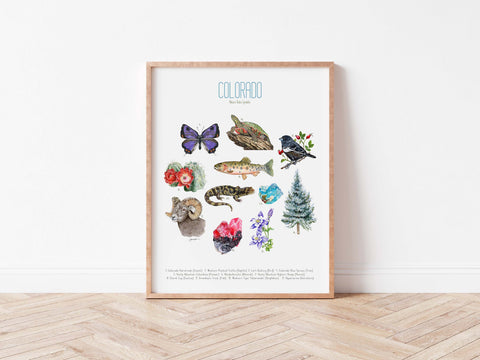 Colorado State Symbols Poster Print