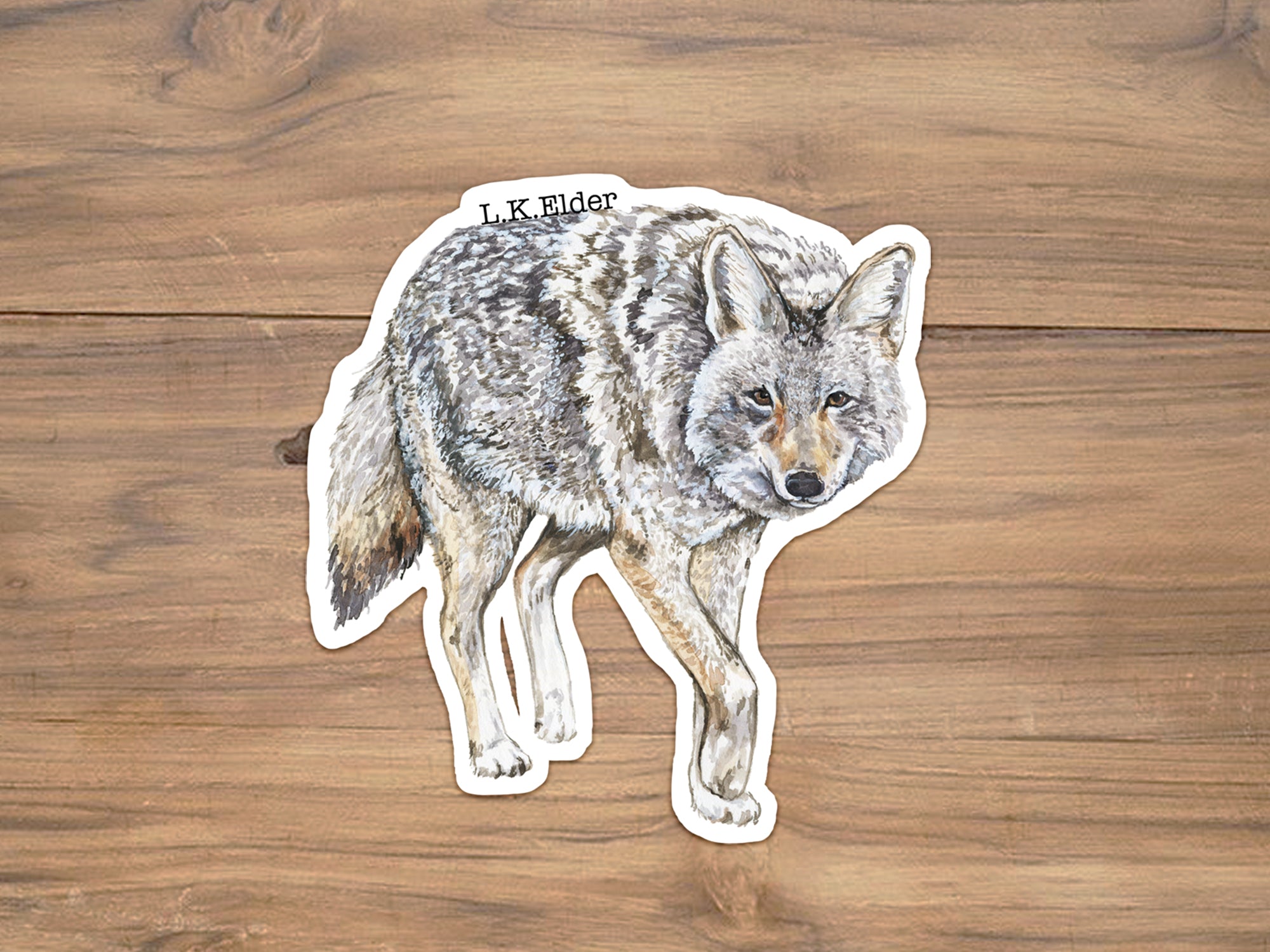 Coyote Sticker