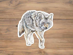 Coyote Sticker