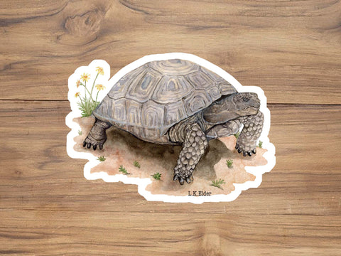 Desert Tortoise Sticker