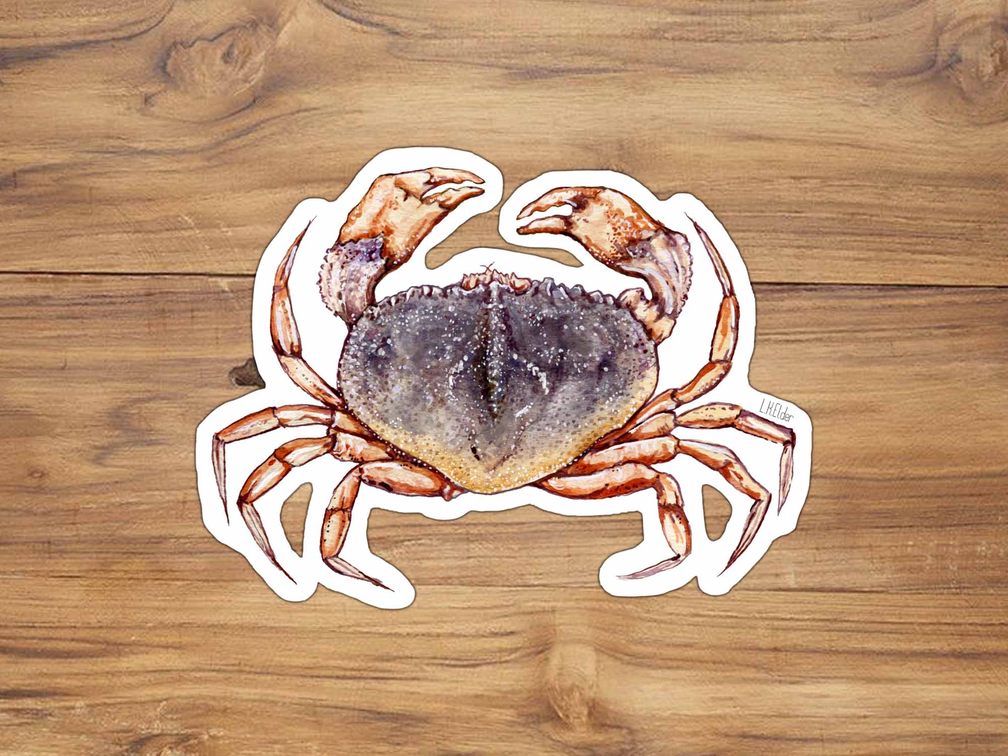Dungeness Crab Sticker