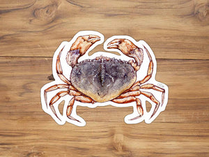Dungeness Crab Sticker