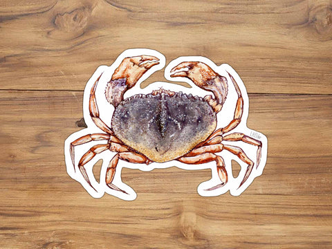 Dungeness Crab Sticker