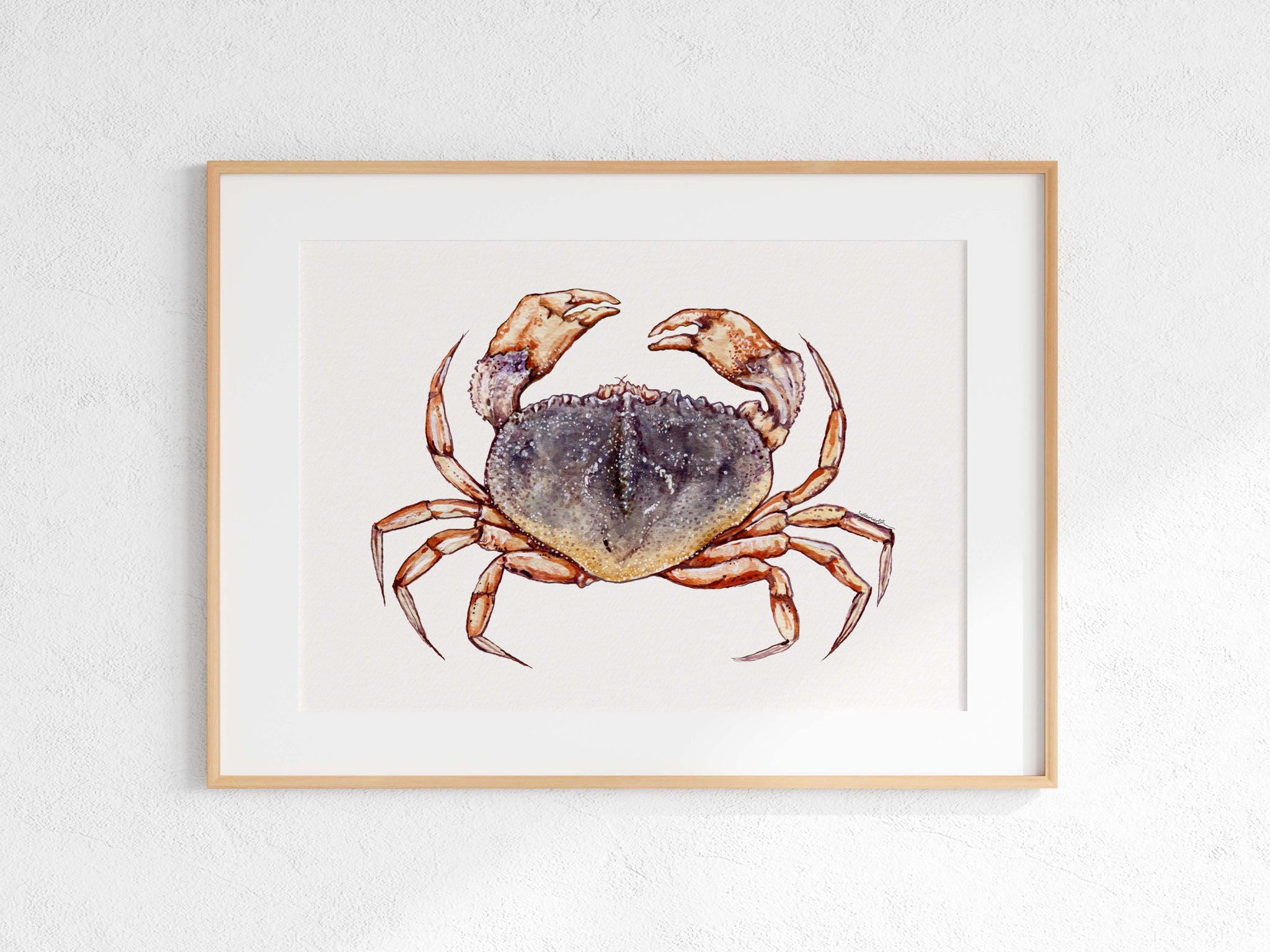 Dungeness Crab Print