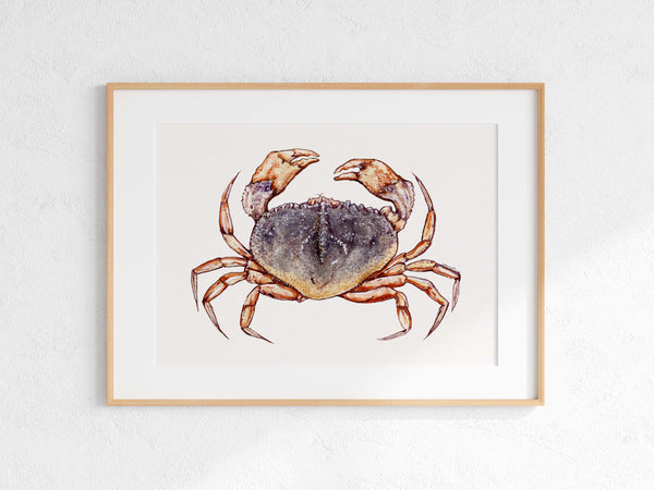 Dungeness Crab Print
