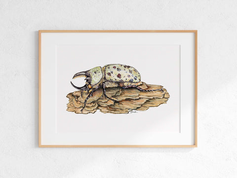 Eastern Hercules Beetle Print