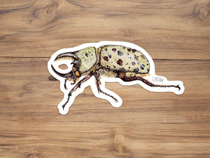 Eastern Hercules Beetle Sticker