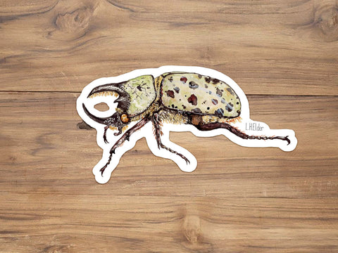 Eastern Hercules Beetle Sticker