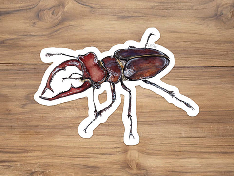 Giant Stag Beetle Sticker