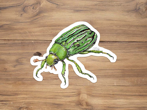 Glorious Scarab Beetle Sticker