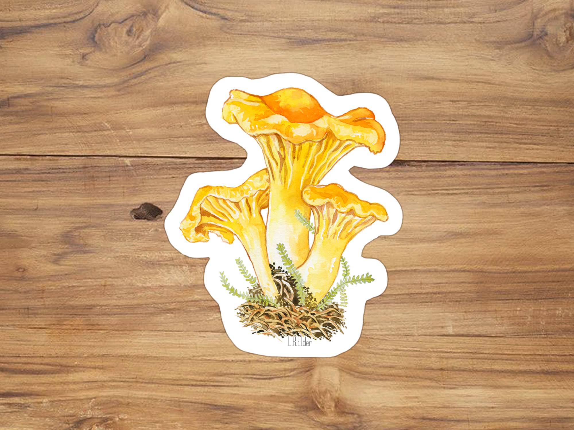 Golden Chanterelle Sticker