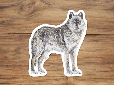 Gray Wolf Sticker