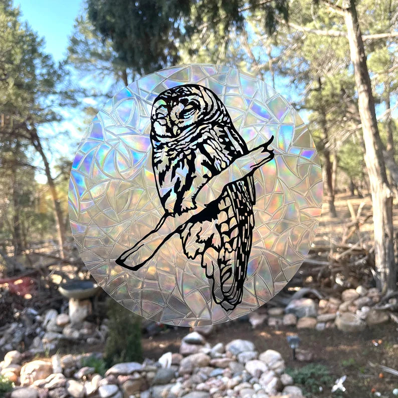 Barred Owl Suncatcher Decal