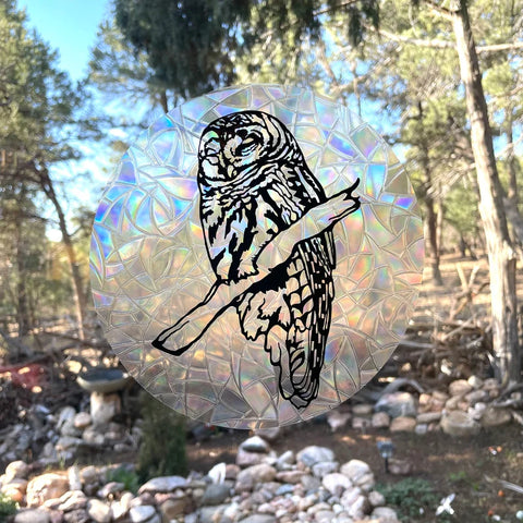 Barred Owl Suncatcher Decal