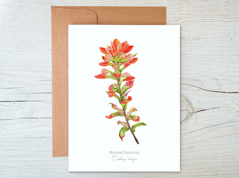 Indian Paintbrush Note Card