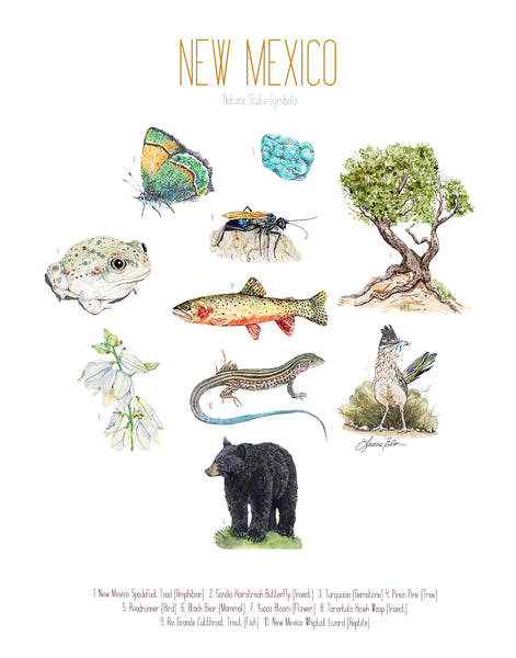 New Mexico State Symbols Print