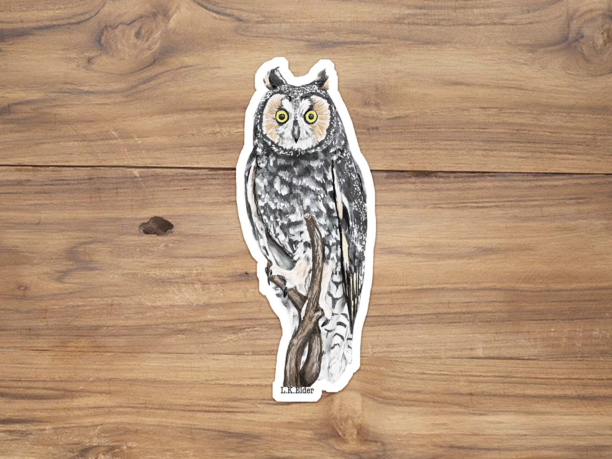Long Eared Owl Sticker