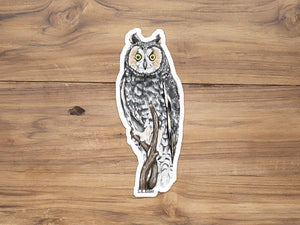 Long Eared Owl Sticker