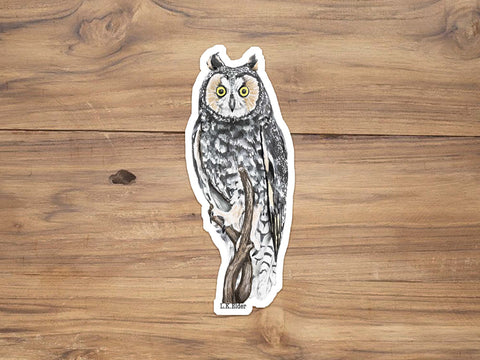 Long Eared Owl Sticker
