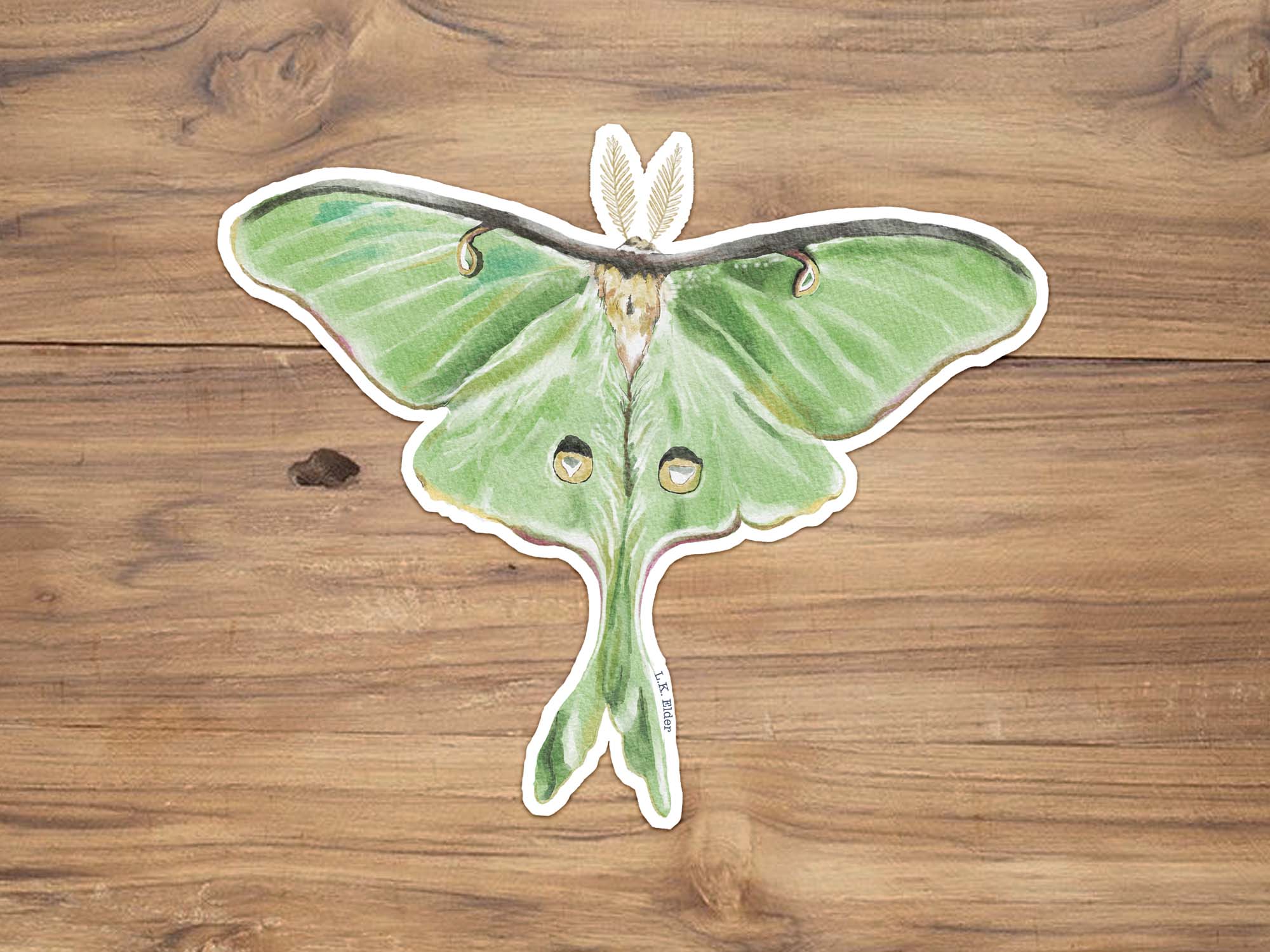 Luna Moth Sticker