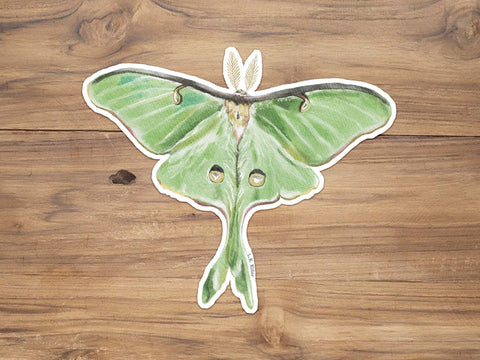 Luna Moth Sticker