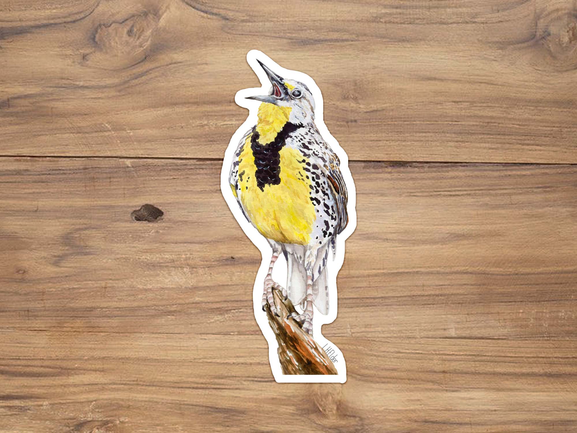 Western Meadowlark Sticker