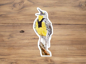 Western Meadowlark Sticker